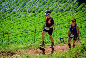 BIB: 
                            <button type="button" onclick="openModal(19164215)" class="btn btn-primary btn-sm float-right btn-popup" data-toggle="modal" data-target=".modal-high-quality">
                        <i class="fas fa-shopping-cart"></i> Add to Cart
                    </button>
                                            <button type="button" onclick="isThisMe(19164215, true)" class="btn btn-success btn-sm float-right btn-popup btn-isme hidden" data-toggle="tooltip" data-placement="bottom" title="นี่คือรูปของคุณใช่ไหม คลิกที่นี่เพื่อเอาเข้าอัลบั้ม">
                        <i class="fas fa-plus"></i> Add to album
                    </button>
                    <button type="button" onclick="isThisMe(19164215, false)" class="btn btn-warning btn-sm float-right btn-popup btn-isnotme hidden">
                        <i class="fas fa-ban"></i> Remove from album
                    </button>